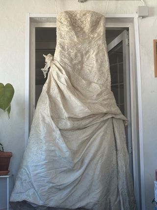 Vestido de Novia Pronovias Beige/Blanco