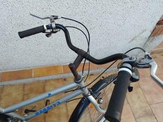 Bicicleta RAGAZZI plateada para Sra. con 21 Shiman