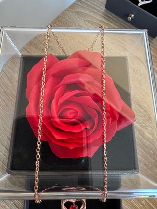 Rosa con Collar Corazón Rojo Dorado Rosa 