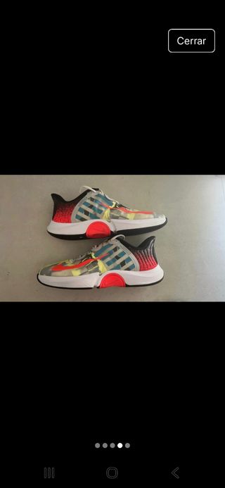 Zapatillas Nike Zoom Multicolores
Tenis y Pádel