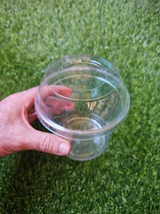 Tarrinas plástico transparente para plantas 25 uds