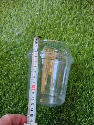 Tarrinas plástico transparente para plantas 25 uds