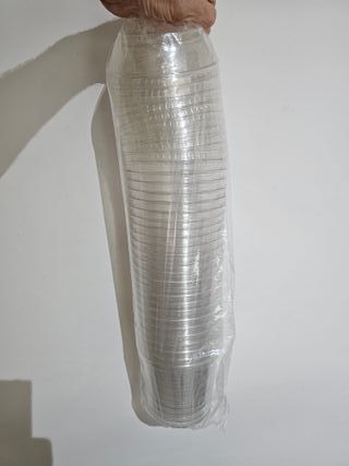 Tarrinas plástico transparente para plantas 25 uds