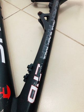 Cuadro Focus Black Raider LTD LEER 