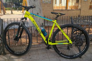 MTB de 29 pulgadas