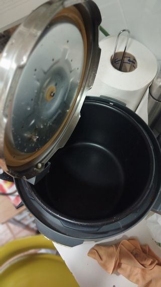 Olla Programable Erika 6L