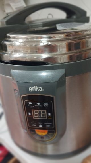 Olla Programable Erika 6L