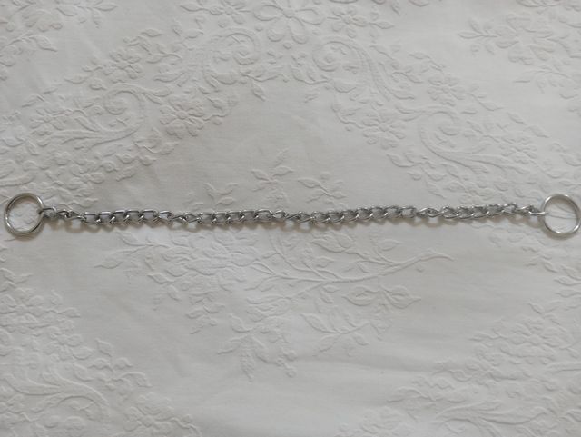 Collare in acciaio inox con anelli