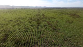 Sembradora Kuhn Fastliner 6000 siembra directa