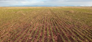 Sembradora Kuhn Fastliner 6000 siembra directa