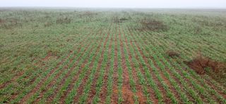 Sembradora Kuhn Fastliner 6000 siembra directa