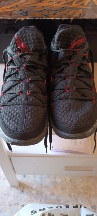 Zapatillas Nike Lebron 17 Low Talla 45