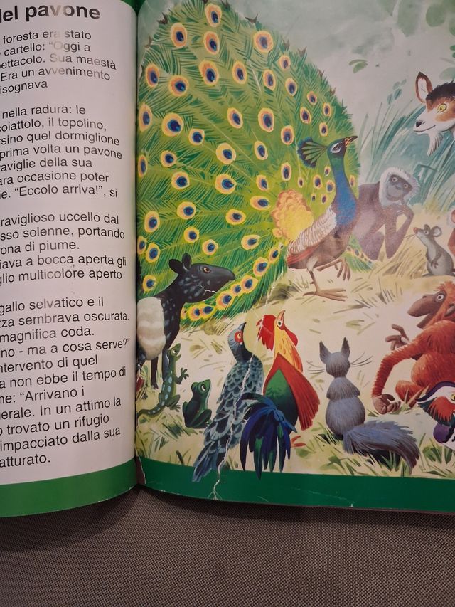 Piccoli racconti di animali in America