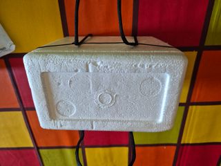 Mini nevera con asas y 3 geles de hielo