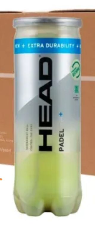 14 botes pelotas Head Pro +