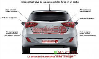 Tulipa de Piloto Trasero Izdo=Dcho DAF Camiones a