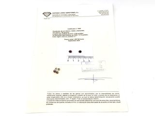E1790223-0	Pendientes Oro 18k Con Diamante,Rubi