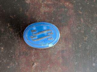 Insignia SS ovalada azul