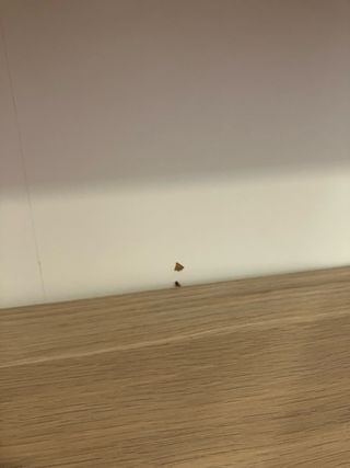 Librería Estantería Blanca y Madera estrecha