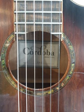 Guitarra Electroacústica Córdoba C4-CE