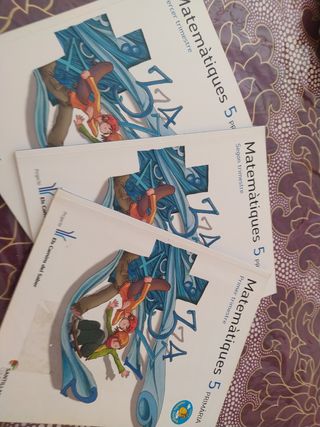 MATEMATIQUES 5 PRIMARIA ELS CAMINS DEL SABER