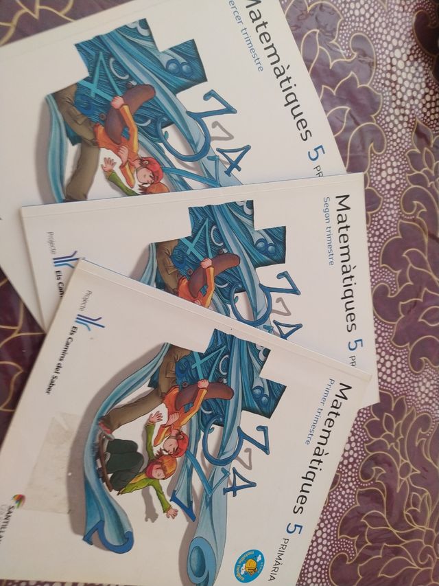 MATEMATIQUES 5 PRIMARIA ELS CAMINS DEL SABER