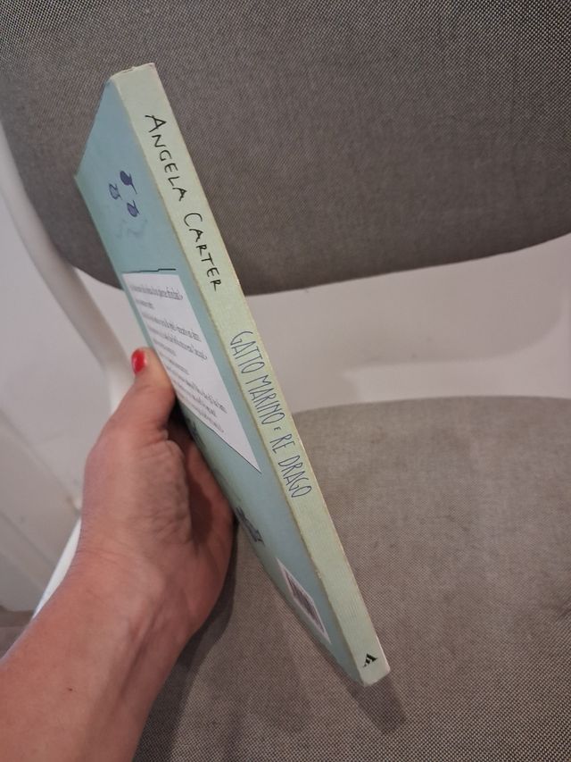 Gatto Di Mare E Re Dei Draghi