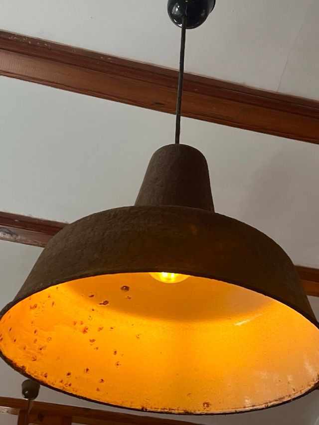 Lámparas de pescadería x 5