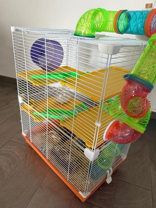 Gabbia per criceti con accessori