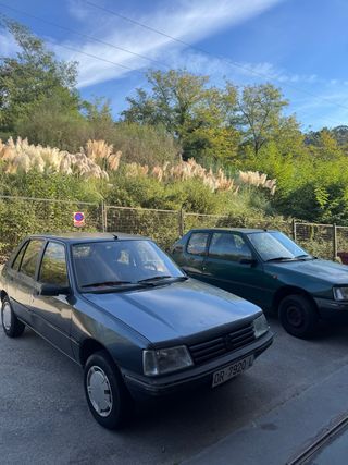 DOS PEUGEOT 205 