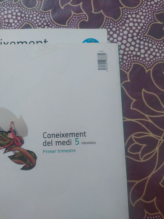 CONEIXEMENT DEL MEDI 5 PRIMARIA ELS CAMINS DEL ...