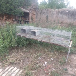 4 Jaulas para conejos, codornices o gallinas
