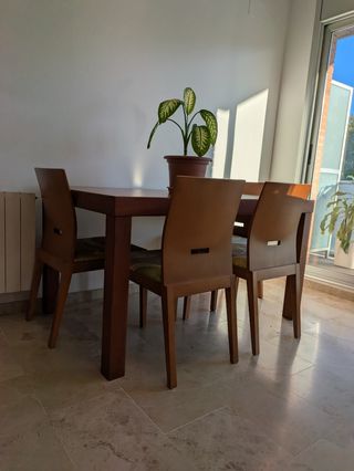 Muebles de salón comedor madera