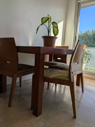 Muebles de salón comedor madera