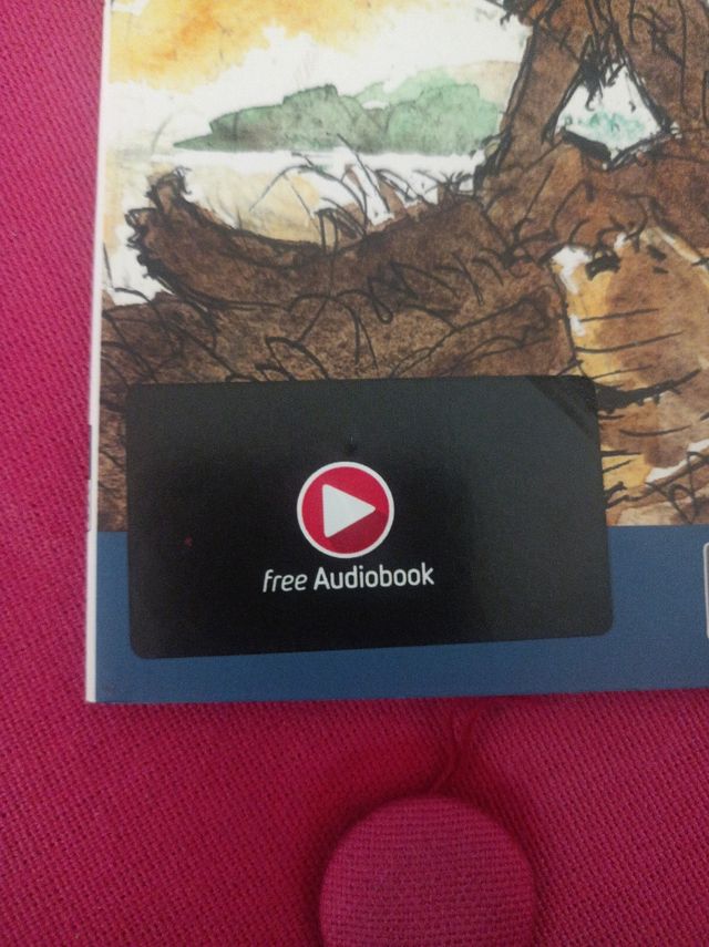 Adventures of Huckleberry Finn