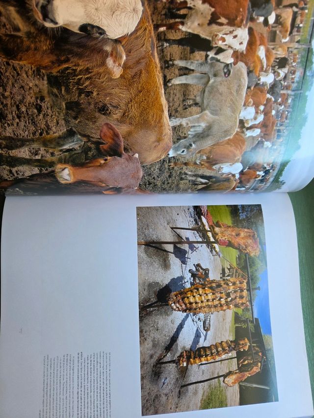 Argentina, mirada y pensada