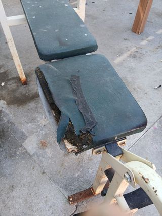 Banco de pesas con barra y discos