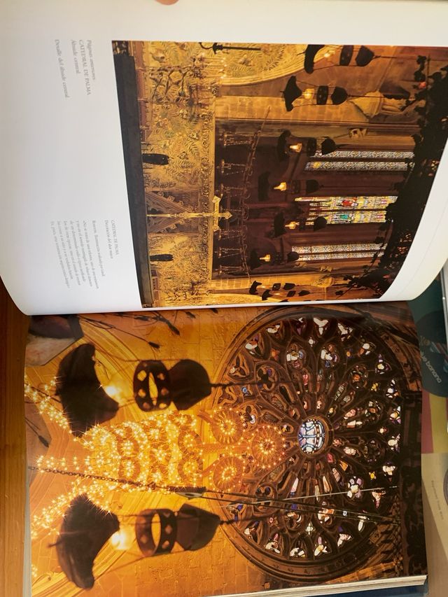 Gaudí: El Hombre y la Obra