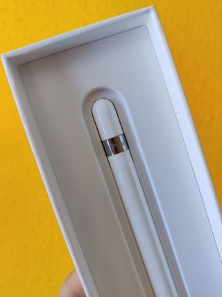 Apple Pencil 1ª Gen