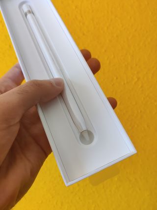 Apple Pencil 1ª Gen
