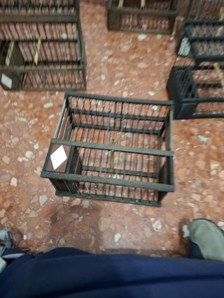 Jaulas para Jilguero (6unidades)