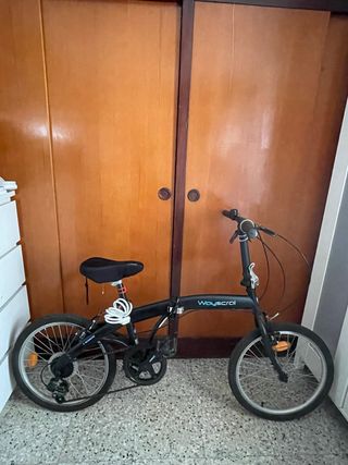 Bicicleta plegable Wayscral