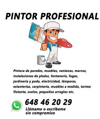 PINTOR PROFESIONAL