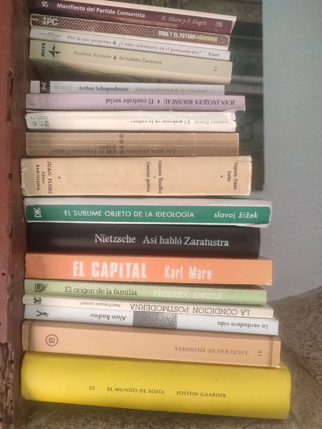 Lote Libros Filosofía Clásica y Contemporánea