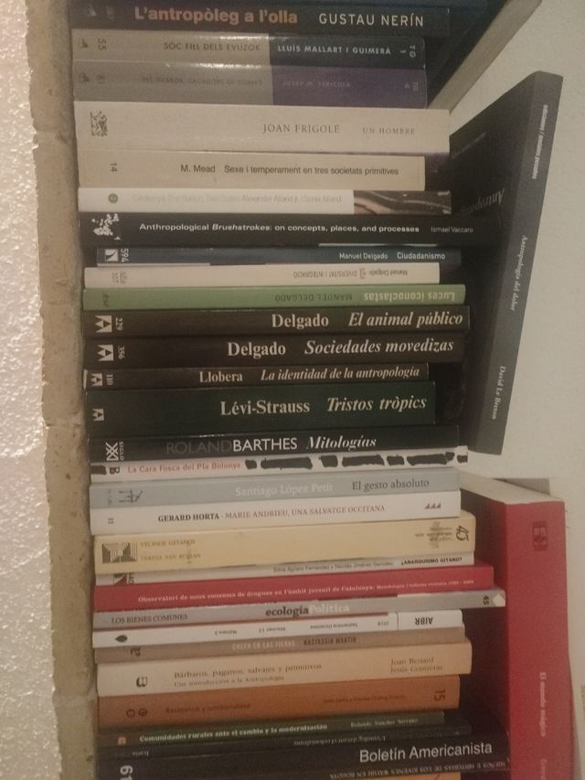 Lote Libros Filosofía Clásica y Contemporánea