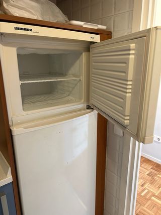 Nevera Liebherr Blanca con Congelador