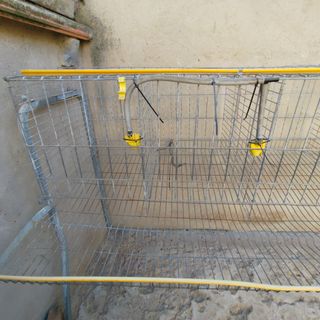Jaula para gallinas metálica