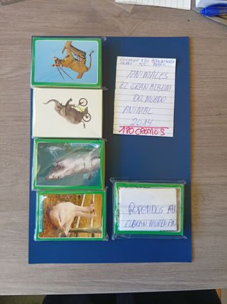 Lote Cromos Animales 2014