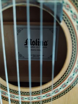 Guitarra Española Clásica con la funda incluida