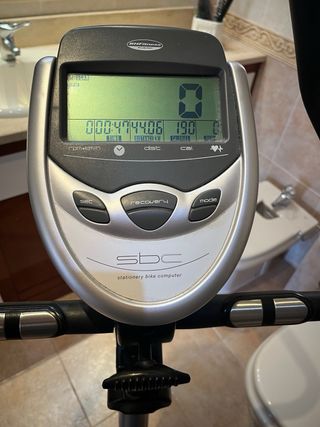 Bicicleta Estática BH Rhyno